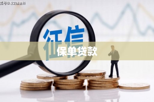 芎林保单贷款