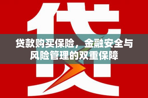 芎林贷款购买保险，金融安全与风险管理的双重保障