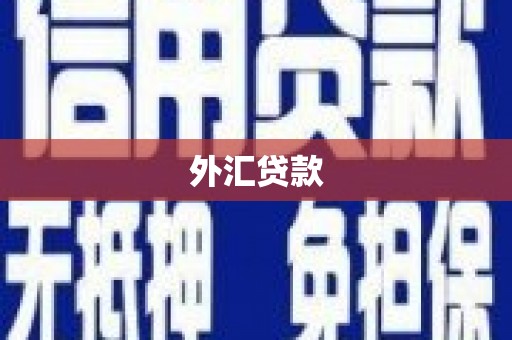 芎林外汇贷款