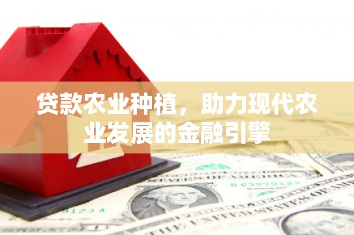 芎林贷款农业种植，助力现代农业发展的金融引擎