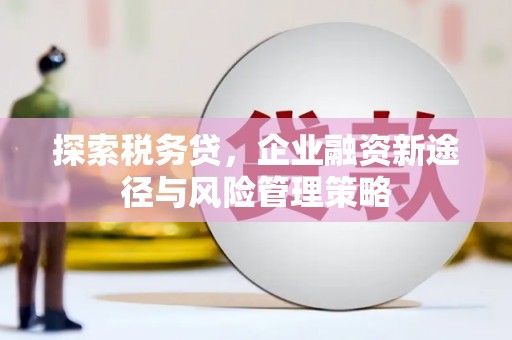 芎林探索税务贷，企业融资新途径与风险管理策略