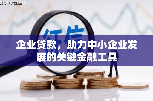 芎林企业贷款，助力中小企业发展的关键金融工具