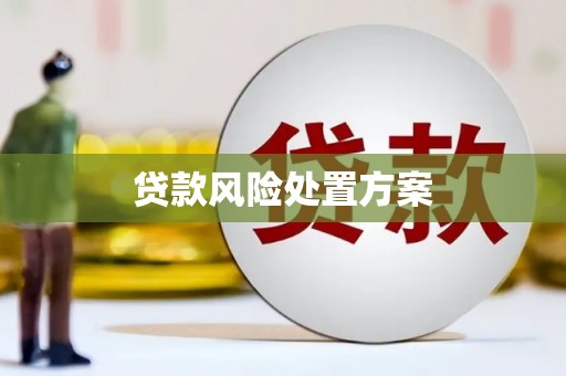 芎林贷款风险处置方案