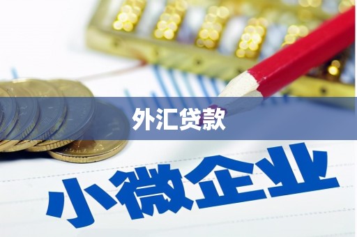 芎林外汇贷款