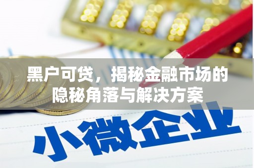 芎林黑户可贷，揭秘金融市场的隐秘角落与解决方案