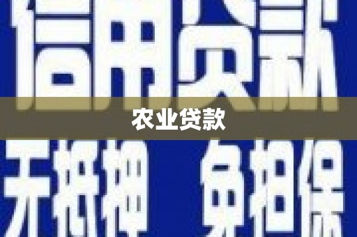 芎林农业贷款