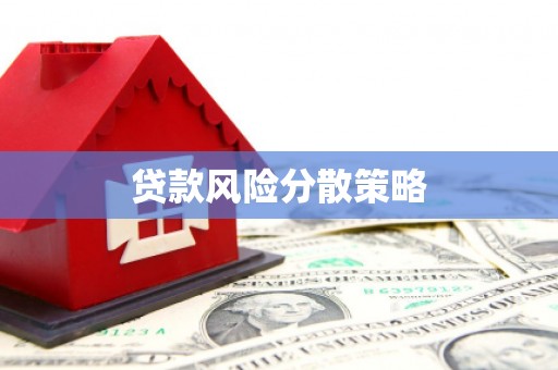 芎林贷款风险分散策略