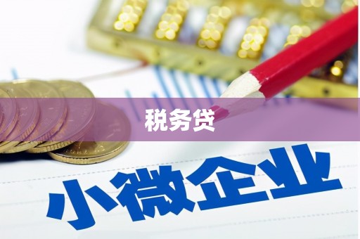 芎林税务贷
