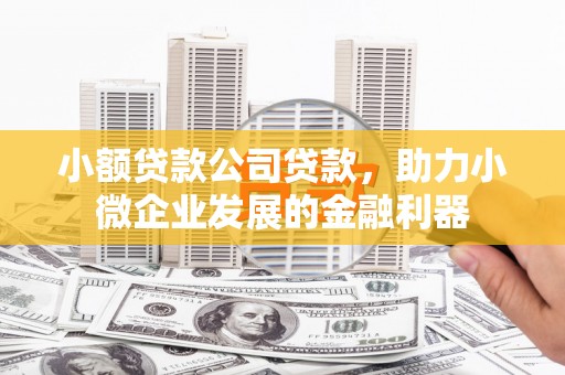 芎林小额贷款公司贷款，助力小微企业发展的金融利器