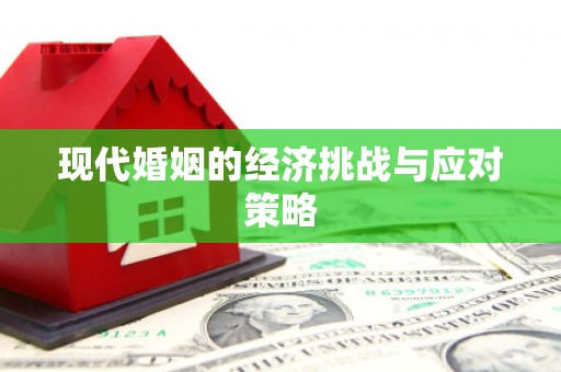 芎林现代婚姻的经济挑战与应对策略