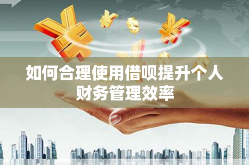 芎林如何合理使用借呗提升个人财务管理效率
