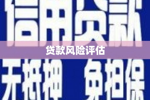 芎林贷款风险评估