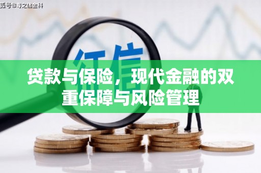 芎林贷款与保险，现代金融的双重保障与风险管理
