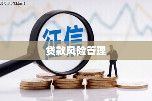 芎林贷款风险管理
