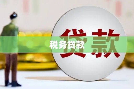 芎林税务贷款