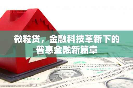 芎林微粒贷，金融科技革新下的普惠金融新篇章