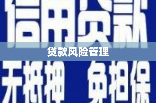 芎林贷款风险管理