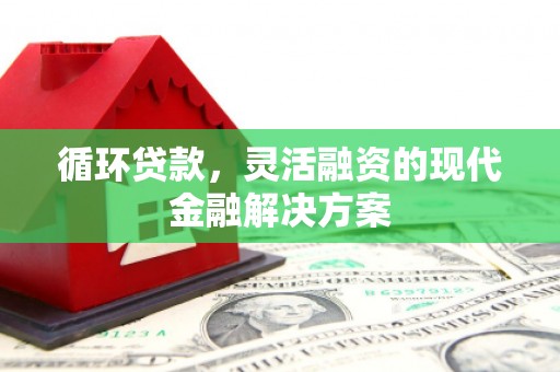 芎林循环贷款，灵活融资的现代金融解决方案