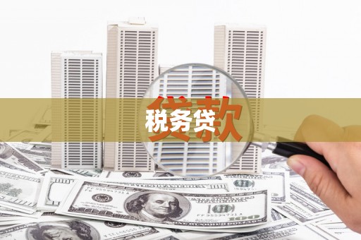 芎林税务贷