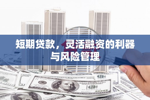 芎林短期贷款，灵活融资的利器与风险管理