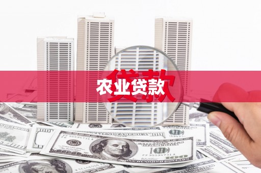 芎林农业贷款