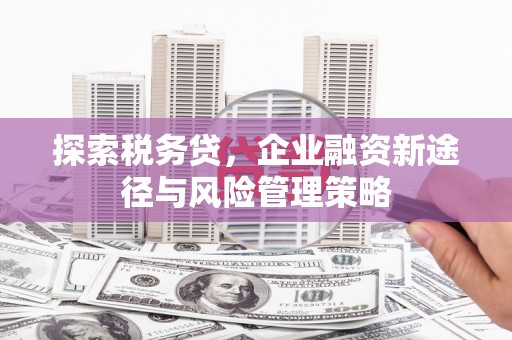 芎林探索税务贷，企业融资新途径与风险管理策略