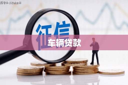 芎林车辆贷款