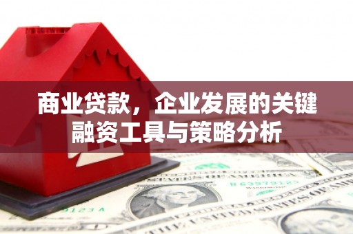 芎林商业贷款，企业发展的关键融资工具与策略分析