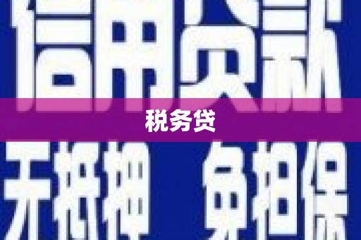 芎林税务贷