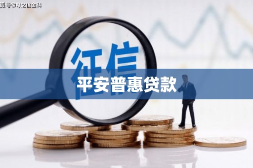 芎林平安普惠贷款