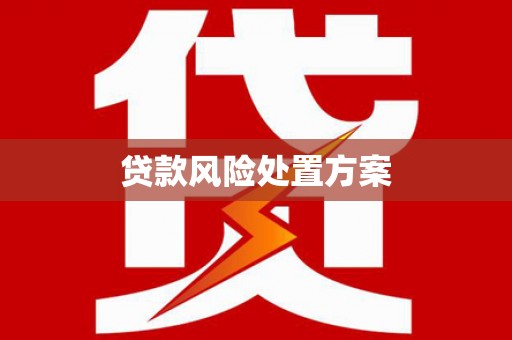 芎林贷款风险处置方案