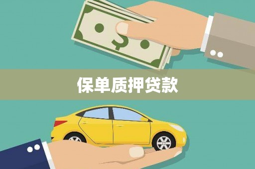 芎林保单质押贷款