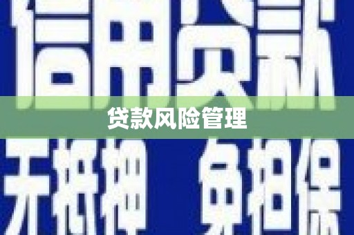 芎林贷款风险管理