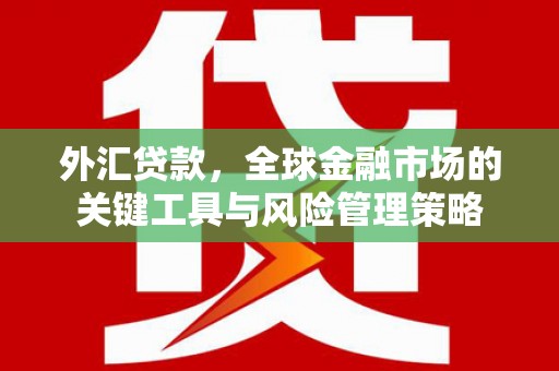 芎林外汇贷款，全球金融市场的关键工具与风险管理策略