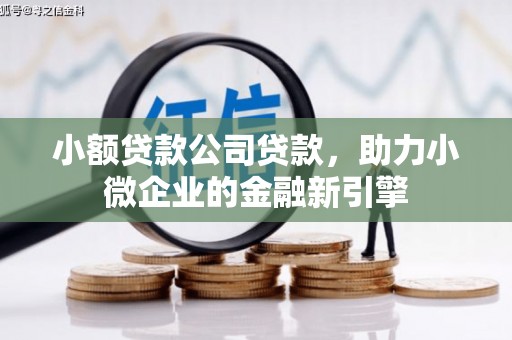 芎林小额贷款公司贷款，助力小微企业的金融新引擎