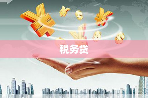 芎林税务贷