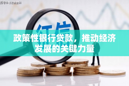 芎林政策性银行贷款，推动经济发展的关键力量