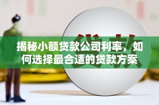 芎林揭秘小额贷款公司利率，如何选择最合适的贷款方案