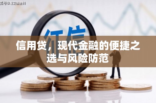 芎林信用贷，现代金融的便捷之选与风险防范