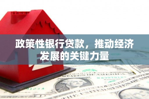 芎林政策性银行贷款，推动经济发展的关键力量