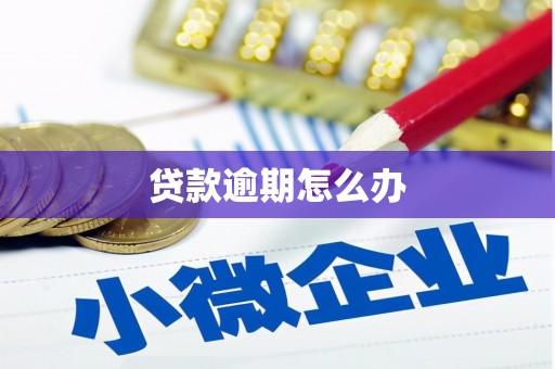 芎林贷款逾期怎么办