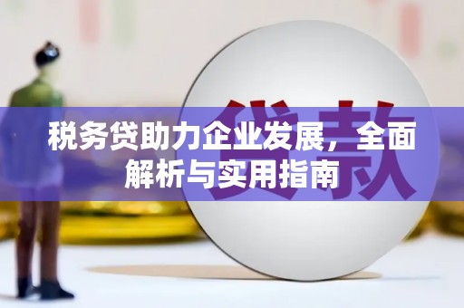 芎林税务贷助力企业发展，全面解析与实用指南