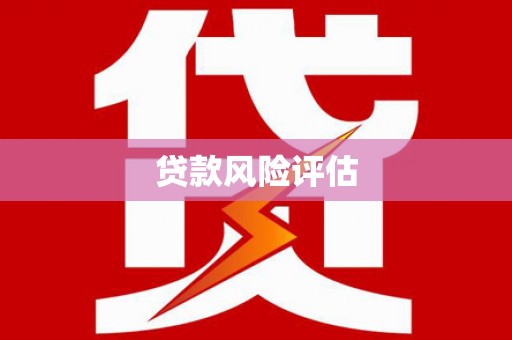 芎林贷款风险评估