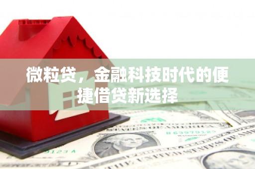 芎林微粒贷，金融科技时代的便捷借贷新选择