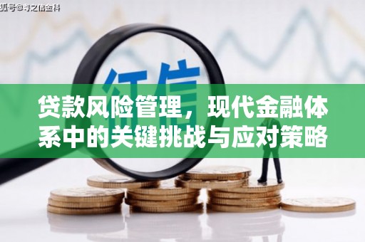 芎林贷款风险管理，现代金融体系中的关键挑战与应对策略