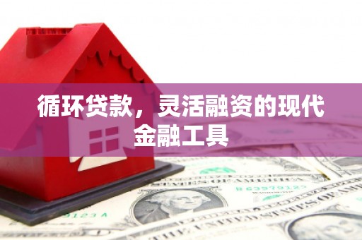 芎林循环贷款，灵活融资的现代金融工具