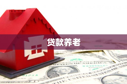 芎林贷款养老