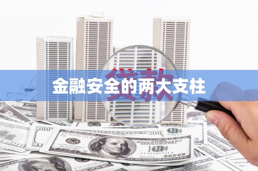 芎林金融安全的两大支柱