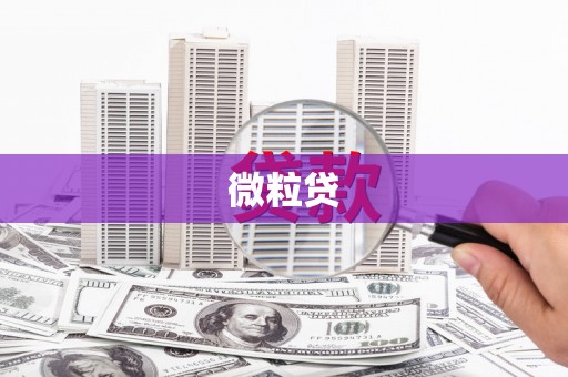 芎林微粒贷