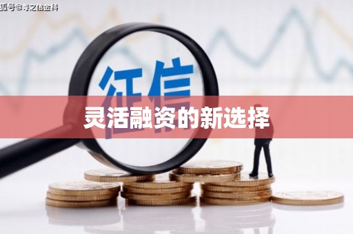 芎林灵活融资的新选择